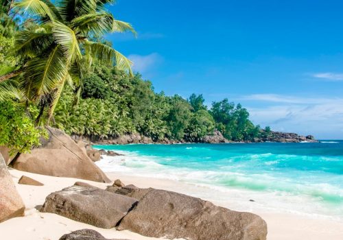 Breathtaking tropical beach with lush greenery, palm trees, and clear blue ocean.