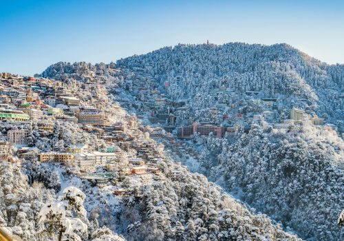 A scenic view of Shimla in winter, with snow-covered buildings and forests under a clear blue sky.